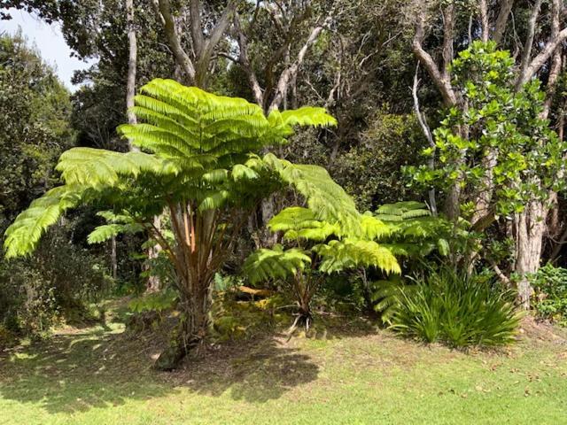 Bed and Breakfast Kilauea House Volcano Exterior foto